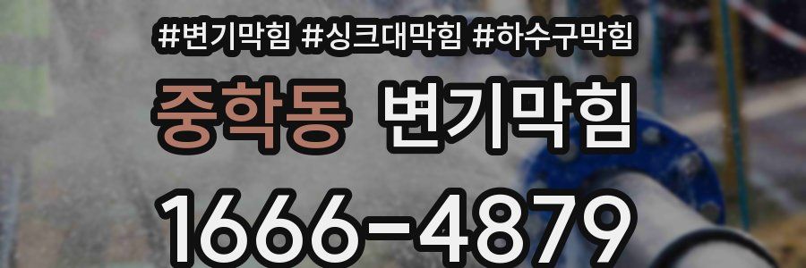변기막힘