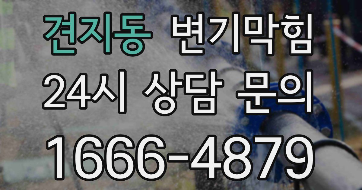 견지동 변기