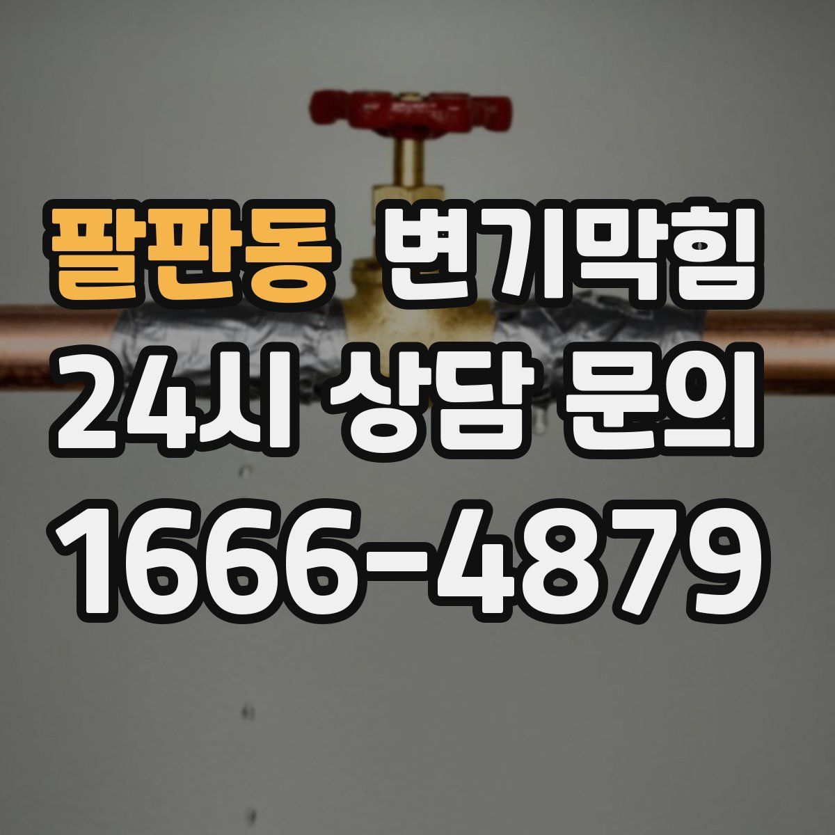팔판동 변기막힘