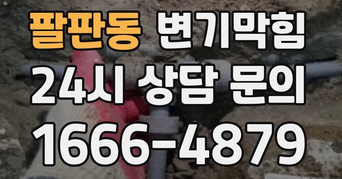 팔판동 변기