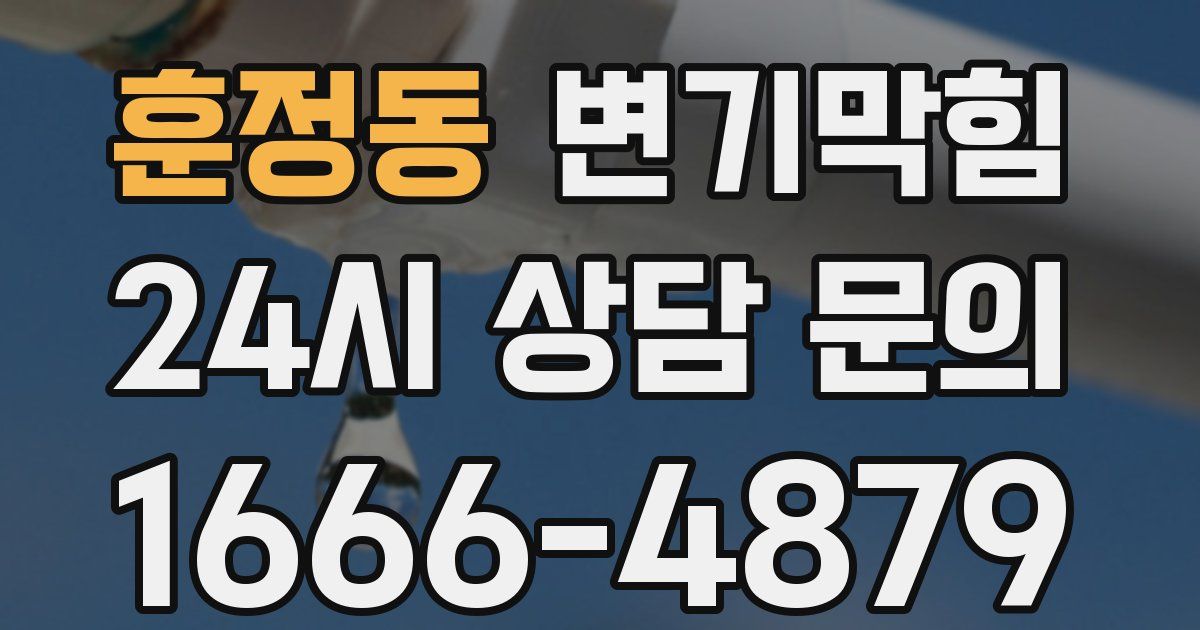 훈정동 변기