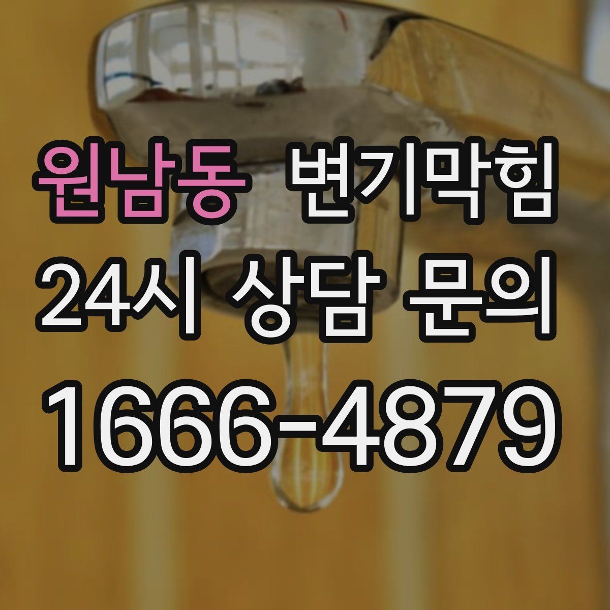 원남동 변기막힘 빌라 세대별 패턴 분석 적용