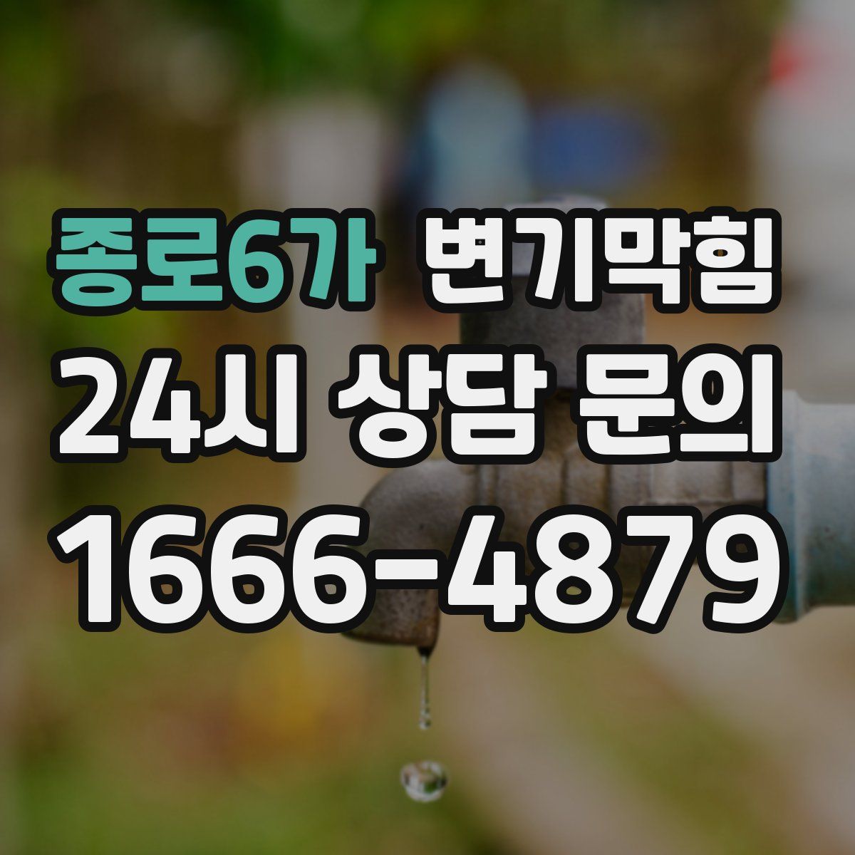 종로6가 변기막힘
