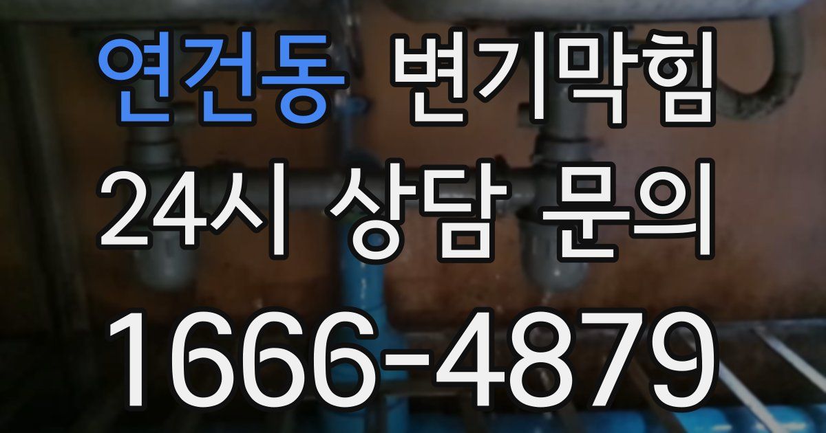 연건동 변기