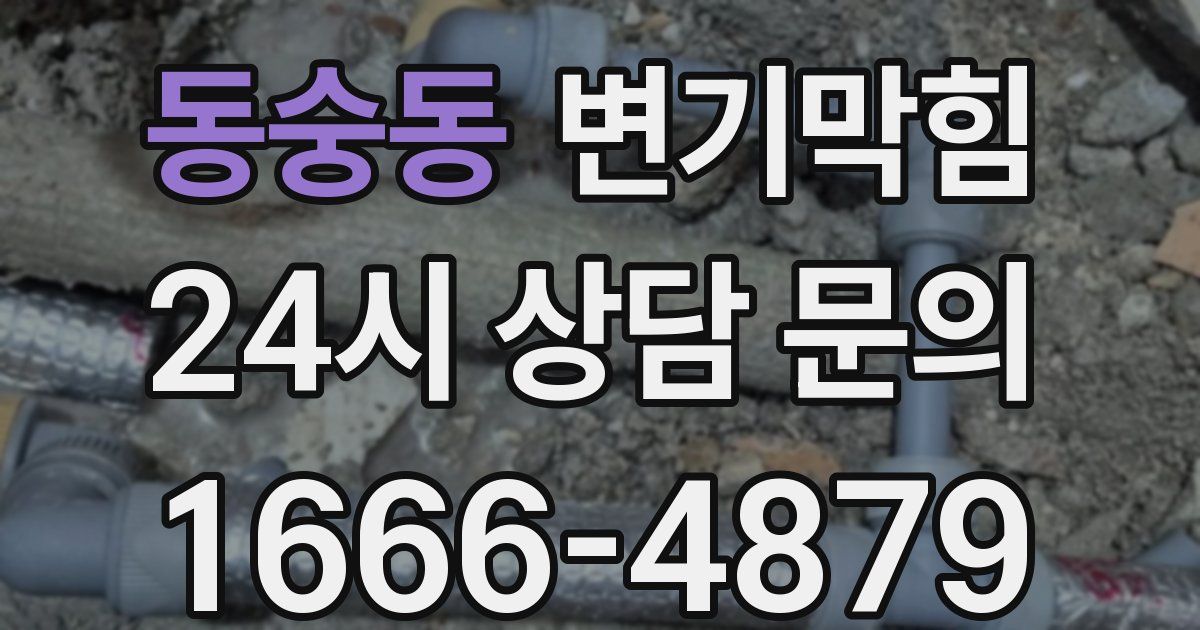 동숭동 변기
