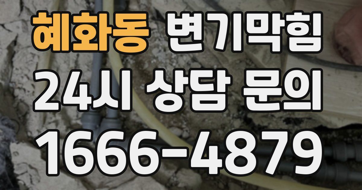 혜화동 변기