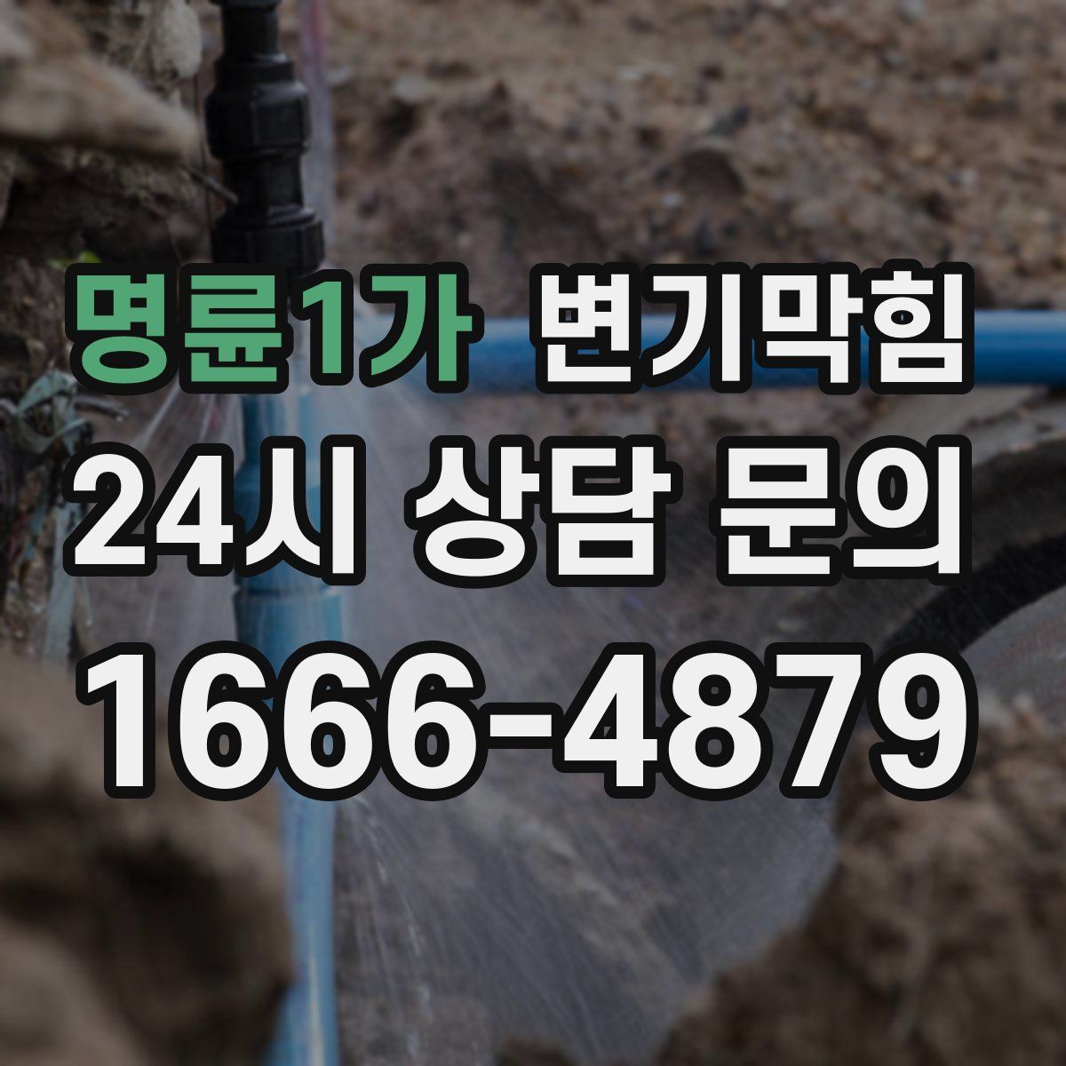 명륜1가 변기막힘