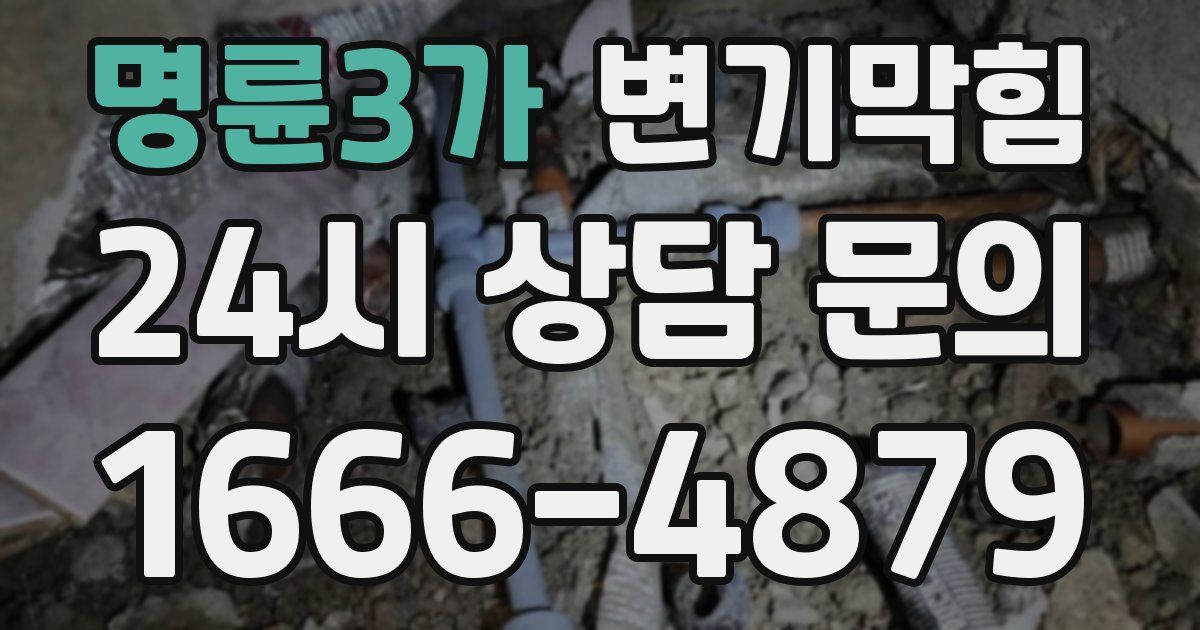 명륜3가 변기