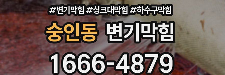 변기막힘