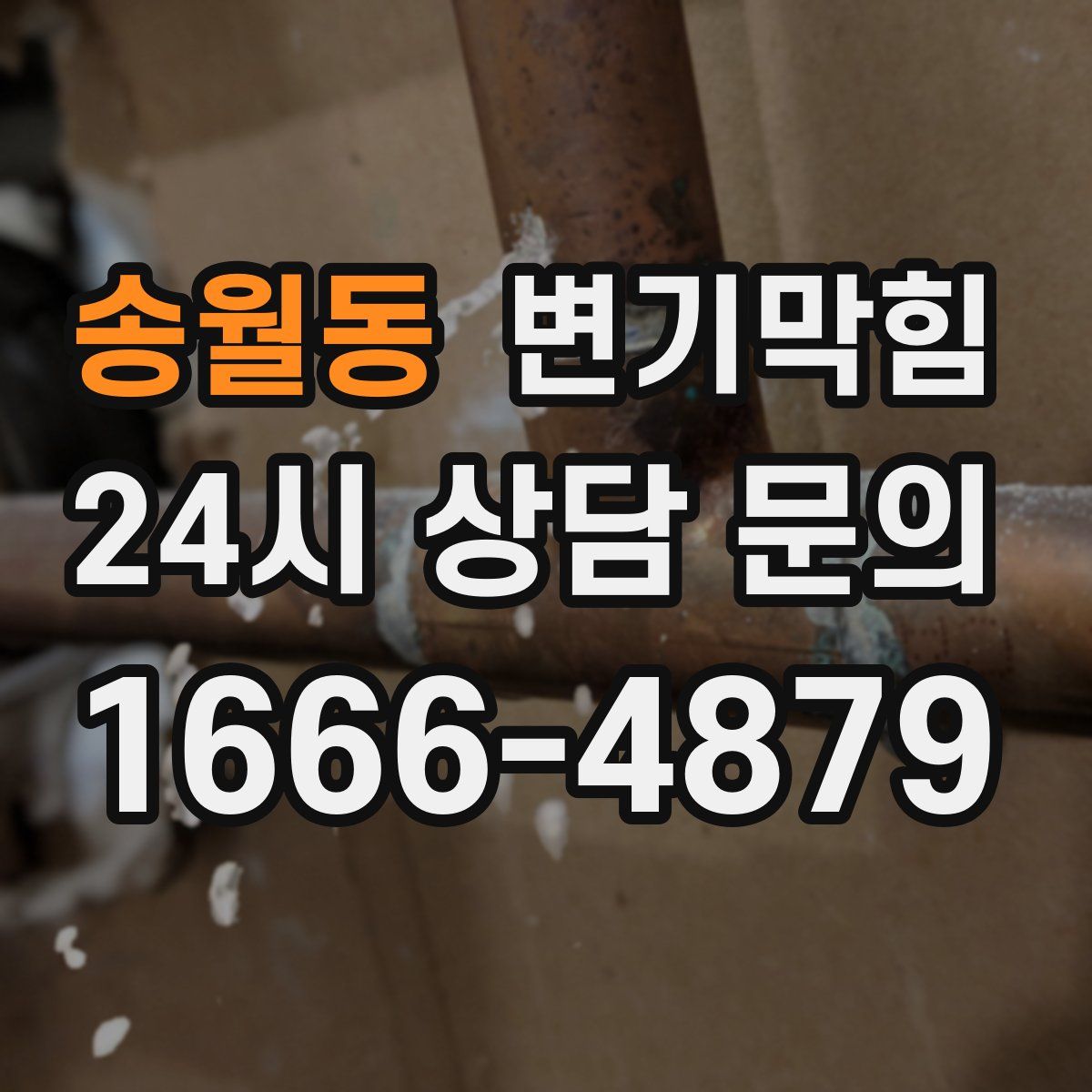 송월동 변기막힘
