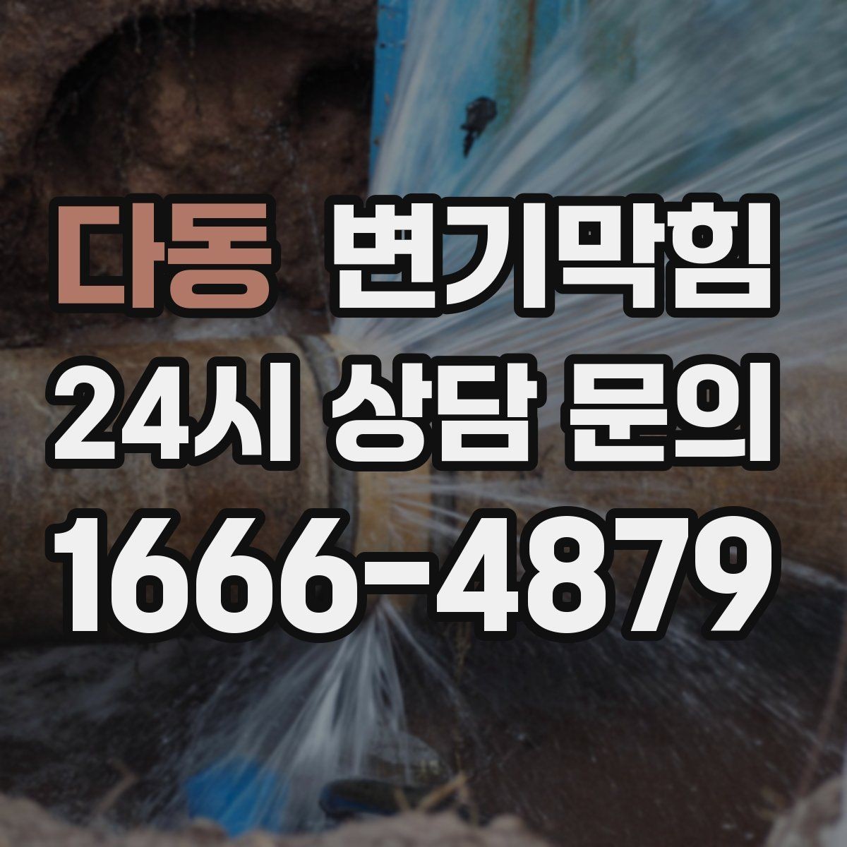 다동 변기막힘 원룸 화장실역류 초기 대응이 만든 차이