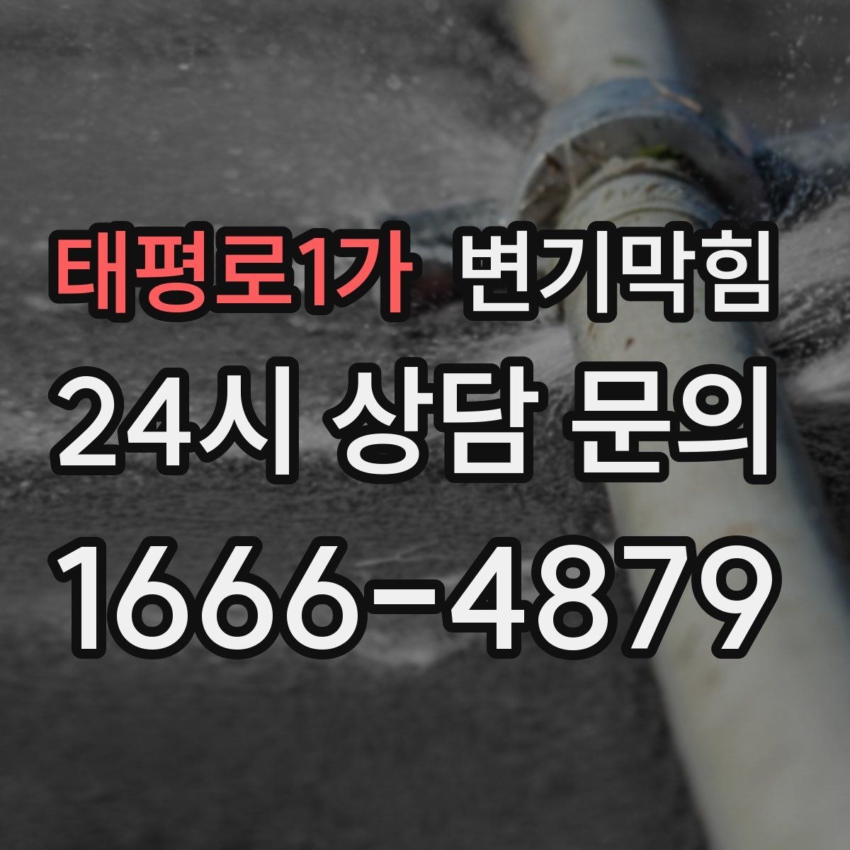 태평로1가 변기막힘