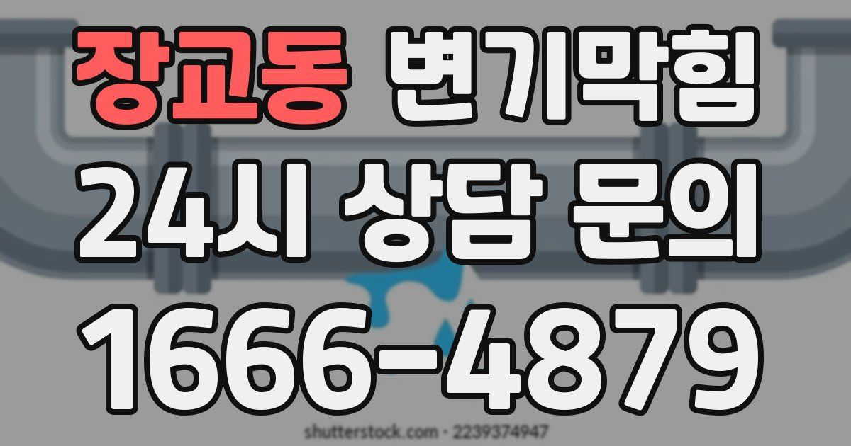 장교동 변기