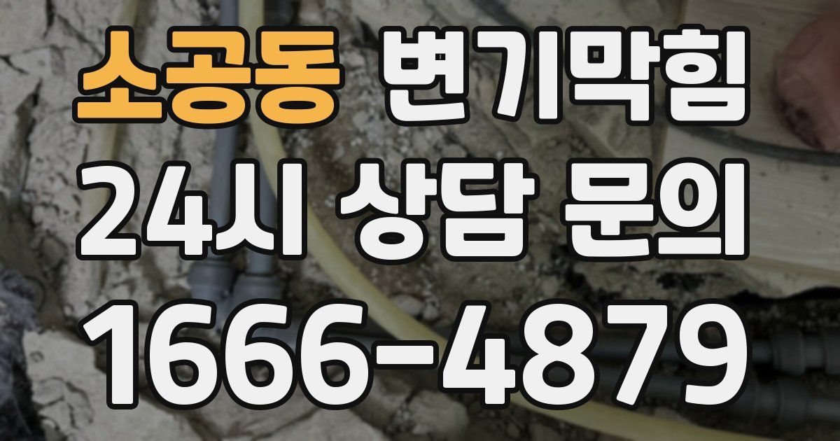 소공동 변기
