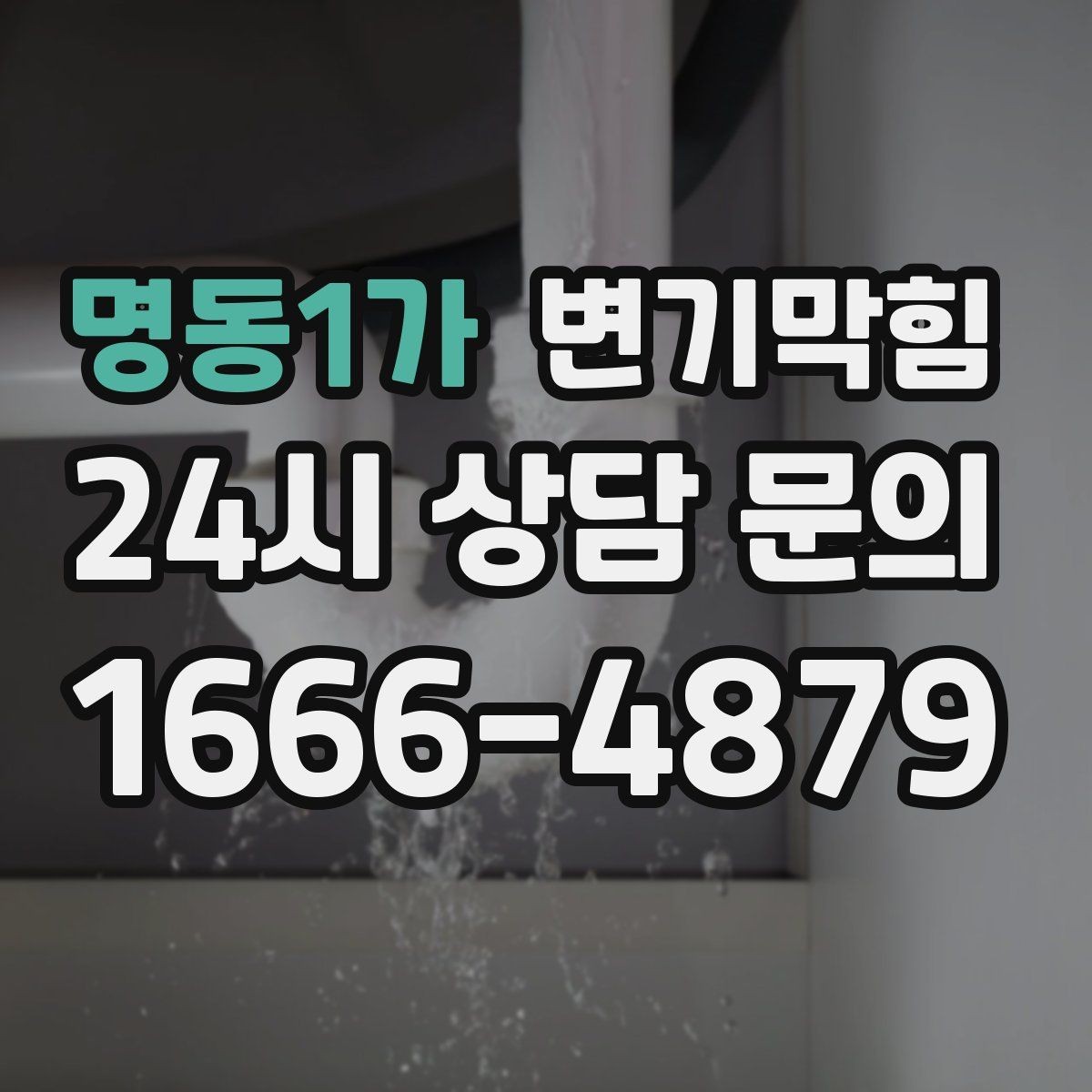명동1가 변기막힘 카페 내시경 이물 안전 회수