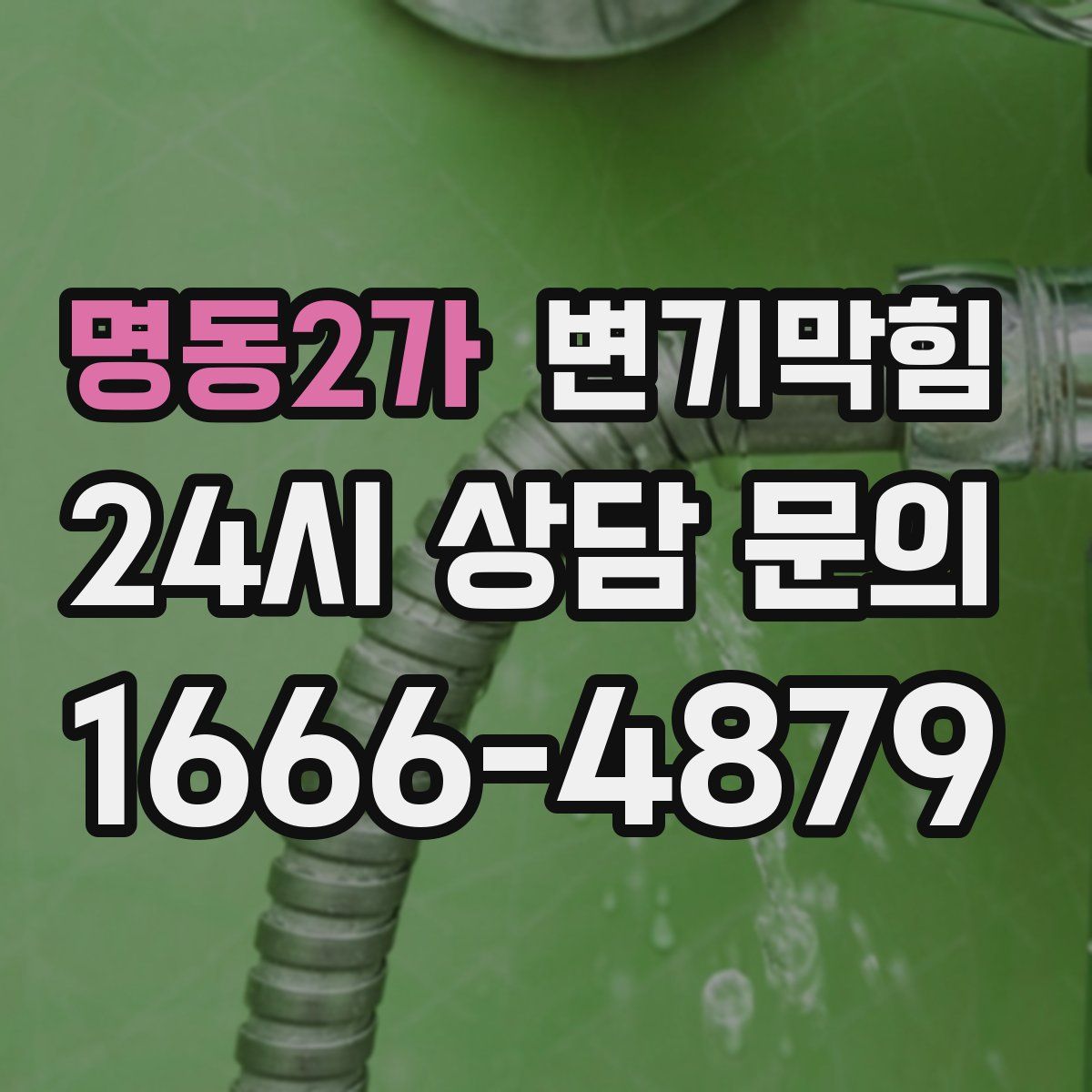명동2가 변기막힘