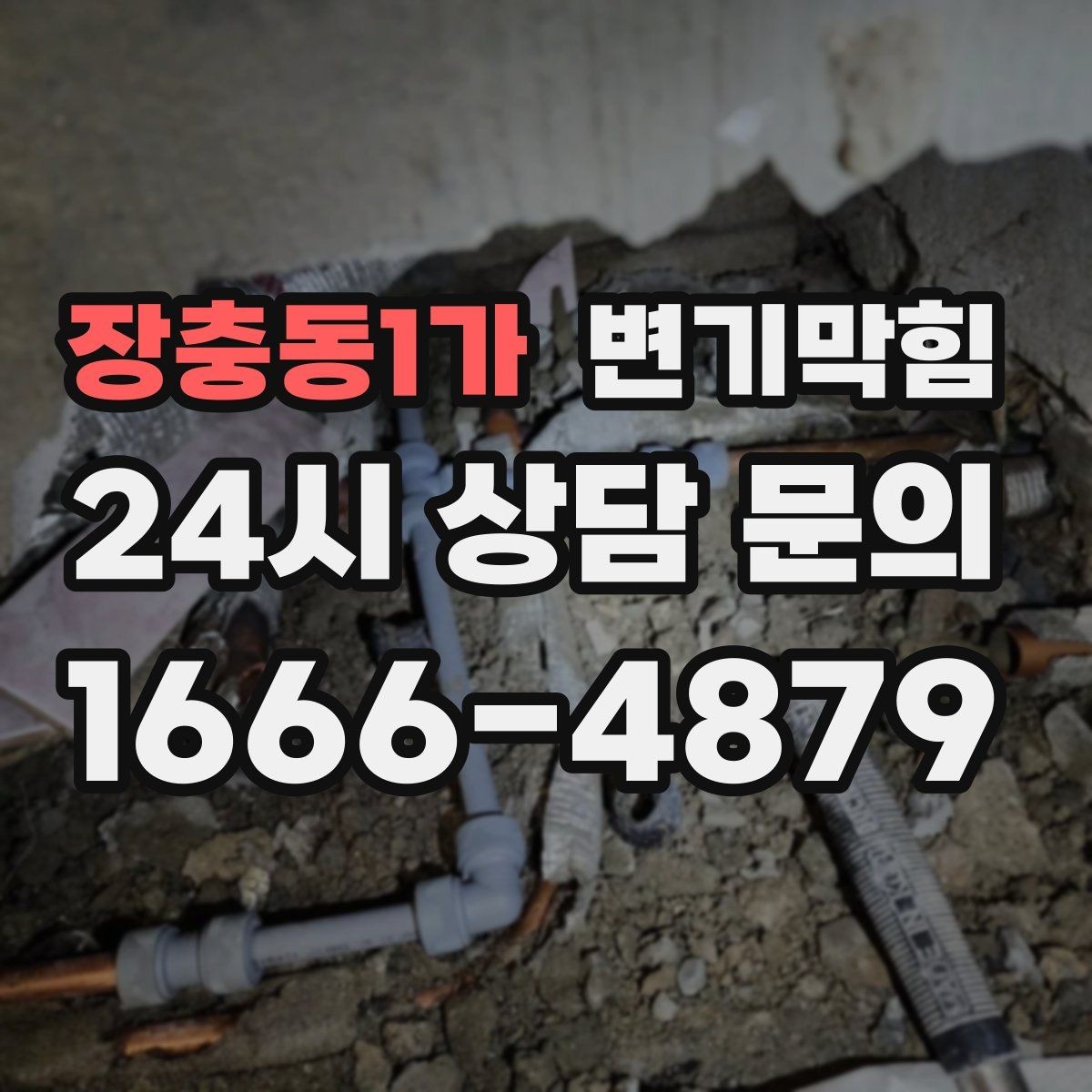 장충동1가 변기막힘 원룸 내시경으로 이물 회수