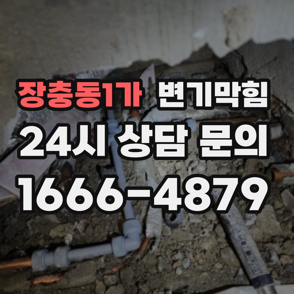 장충동1가 변기막힘