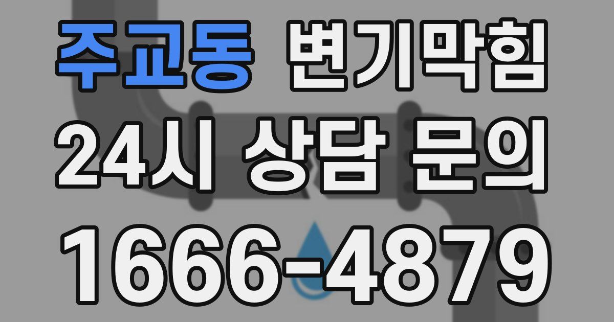 주교동 변기