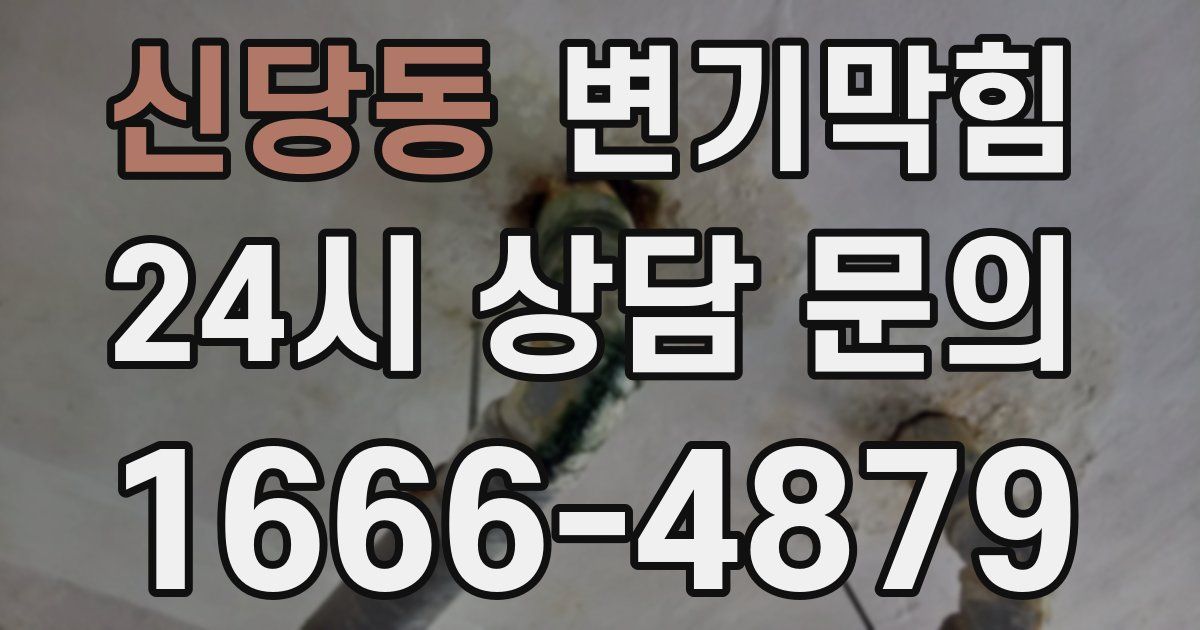 신당동 변기