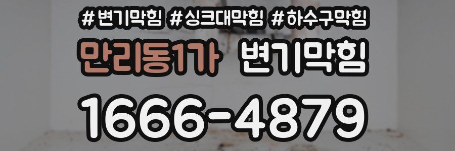 변기막힘