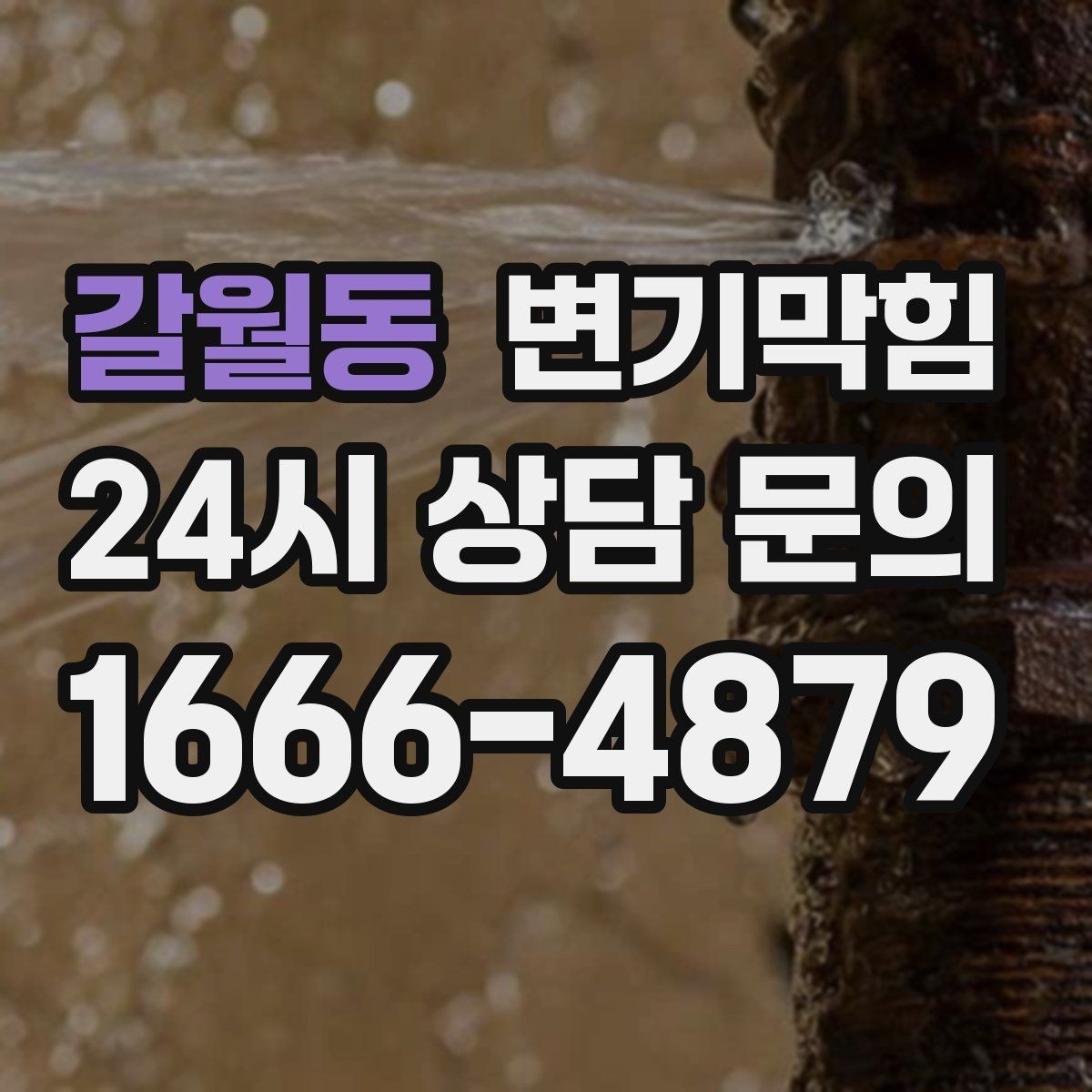 갈월동 변기막힘 사무실 내시경으로 이물 회수
