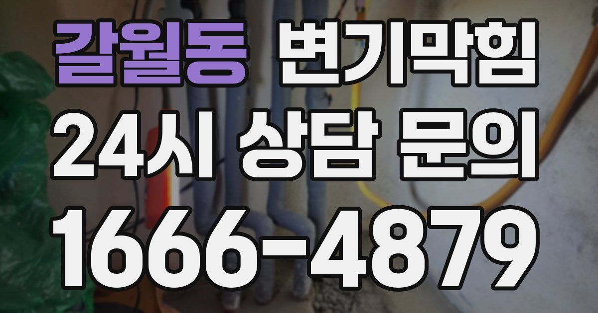 갈월동 변기