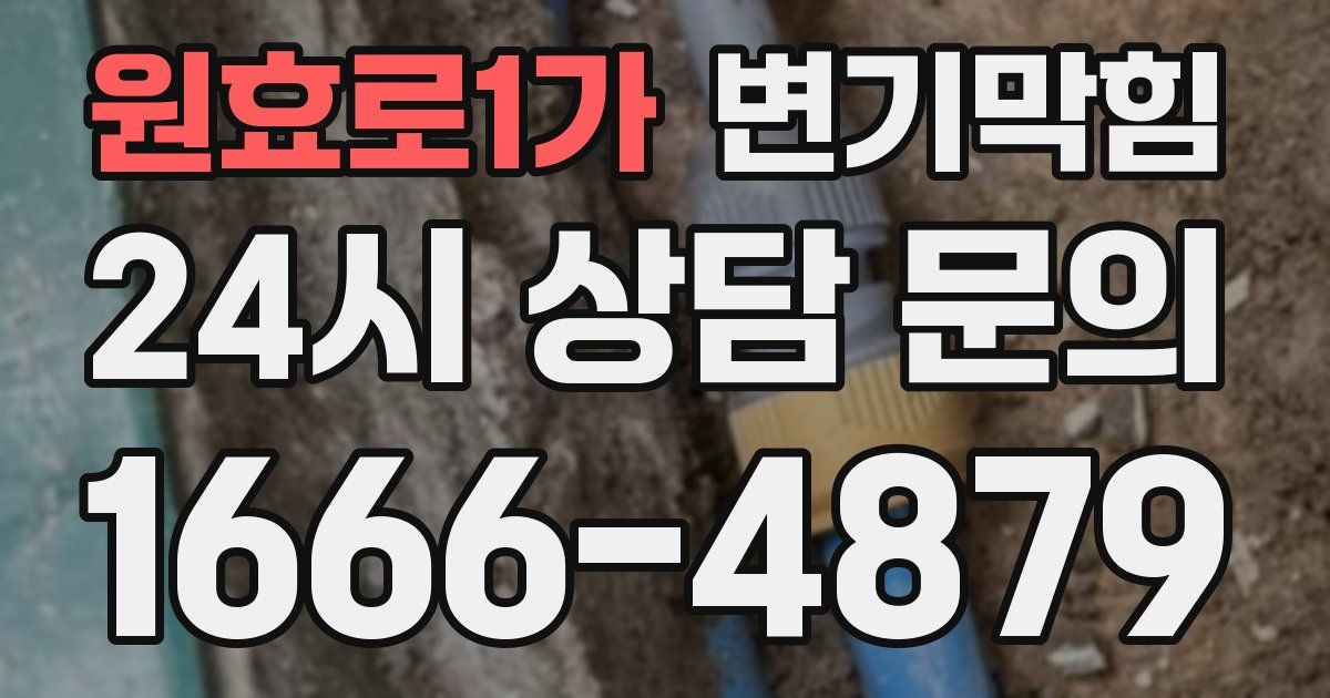 원효로1가 변기