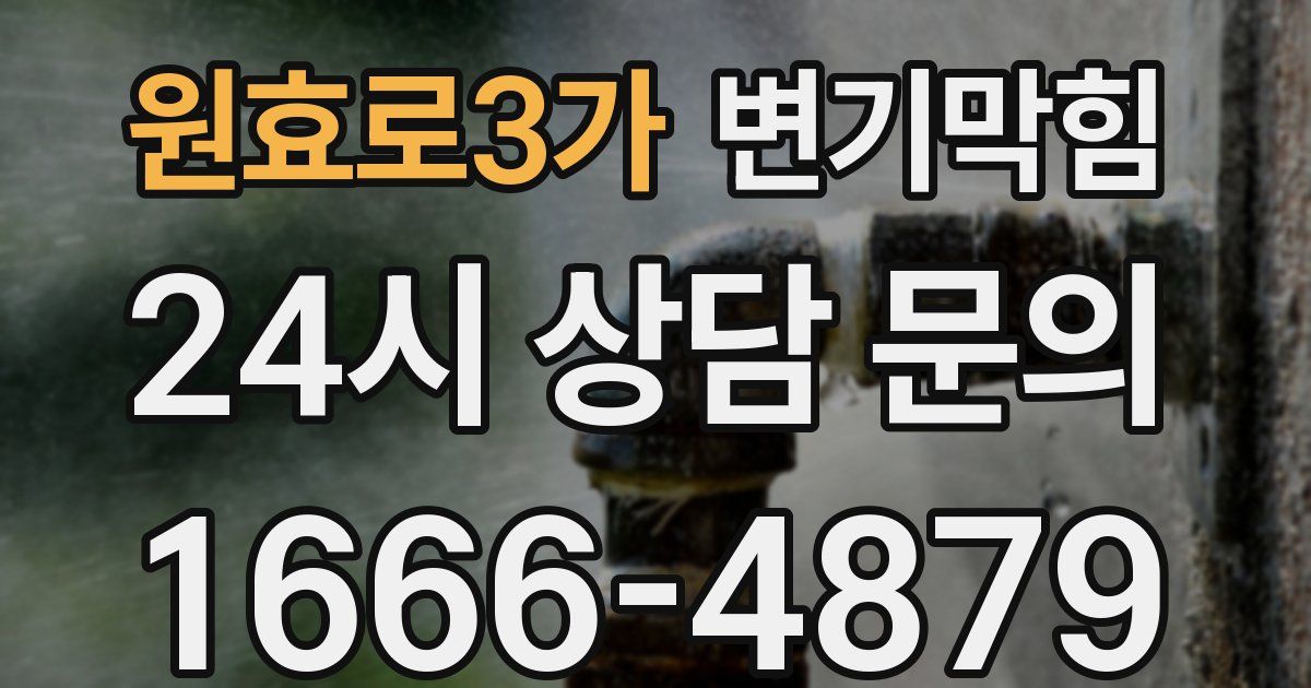 원효로3가 변기