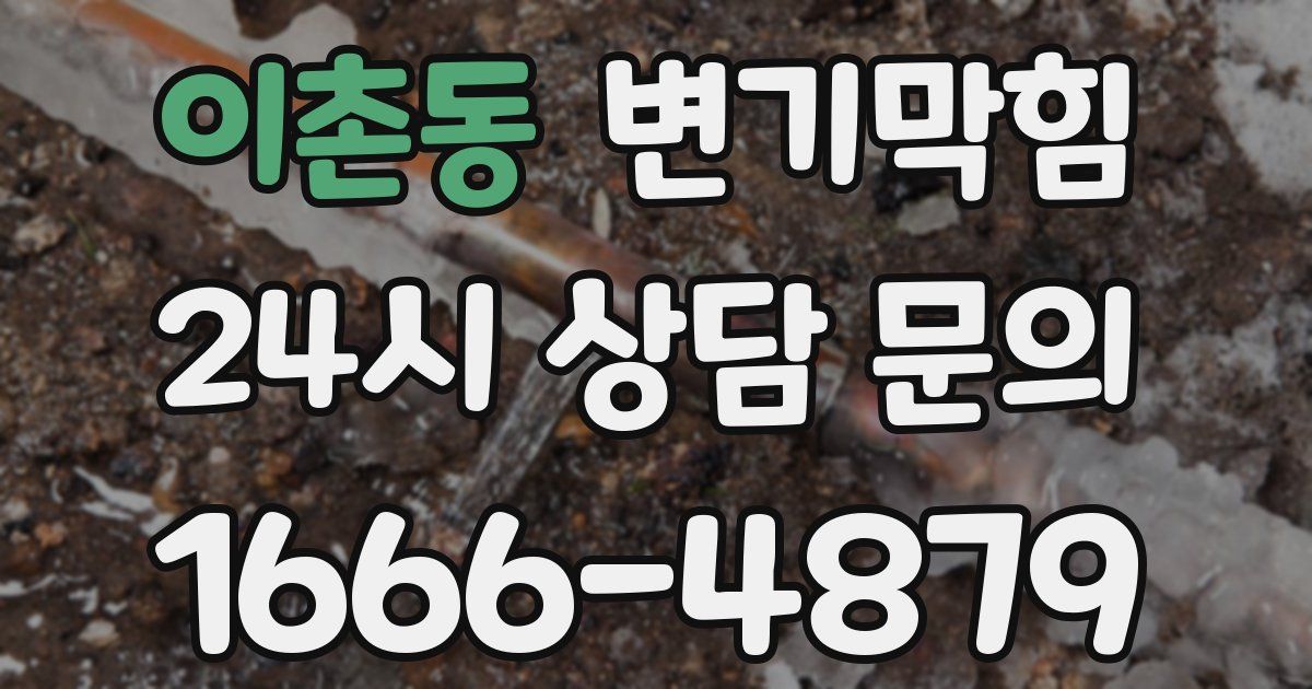 이촌동 변기