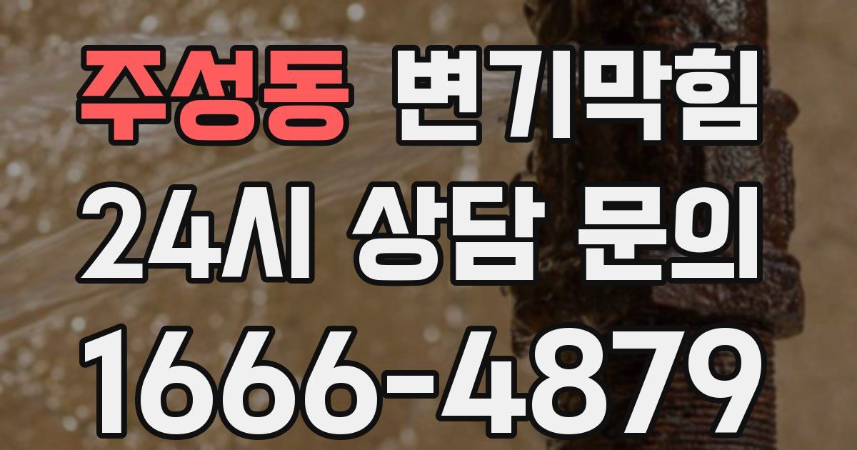 주성동 변기