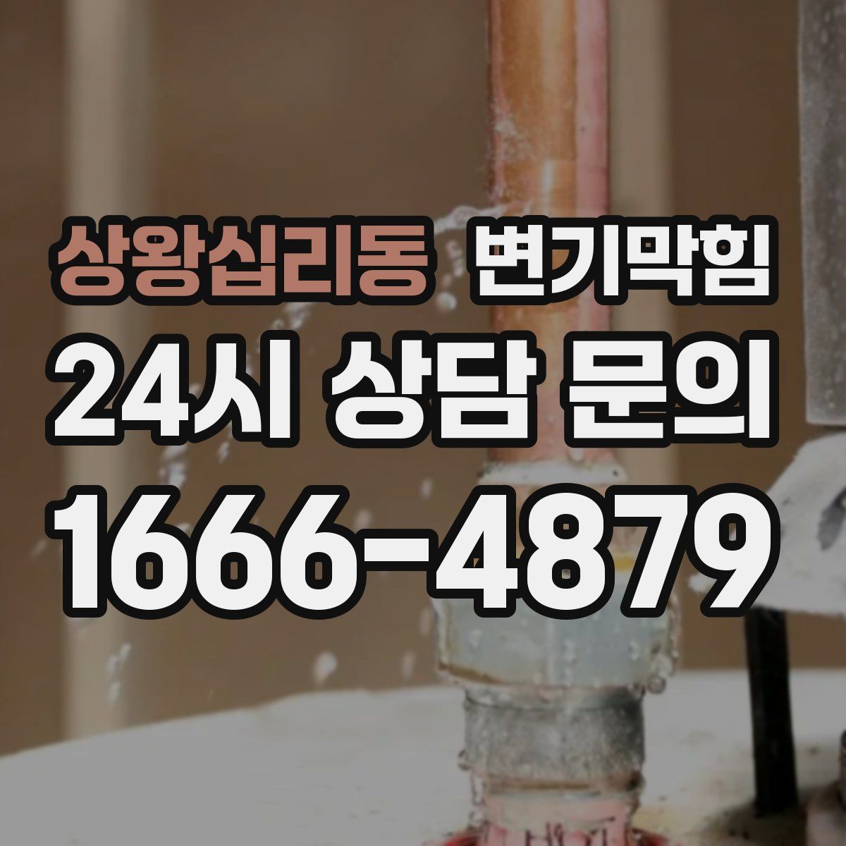 상왕십리동 변기막힘