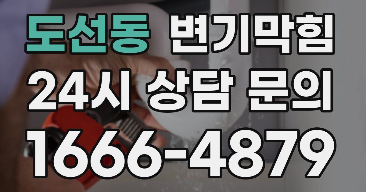 도선동 변기