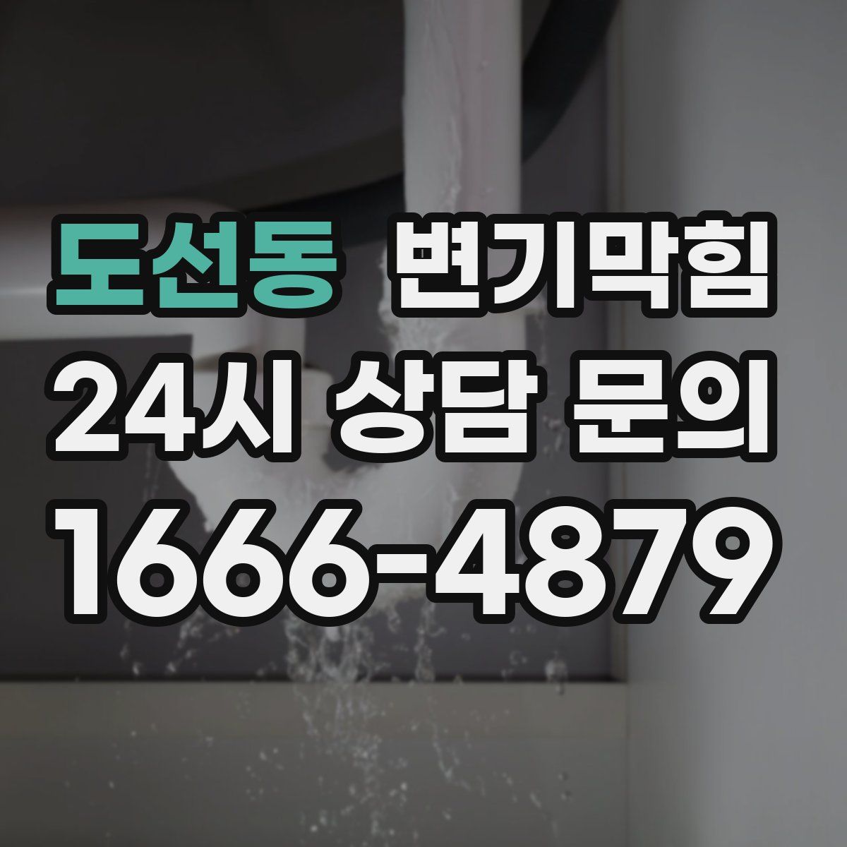 도선동 변기막힘