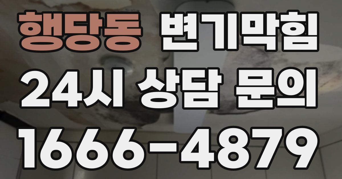 행당동 변기