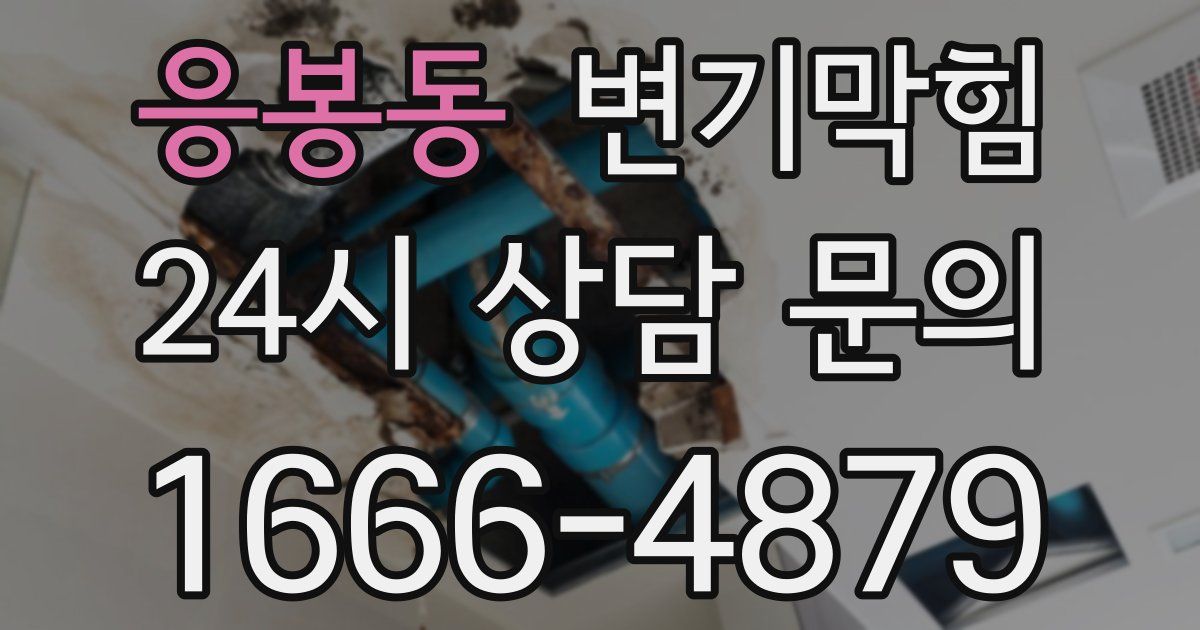 응봉동 변기