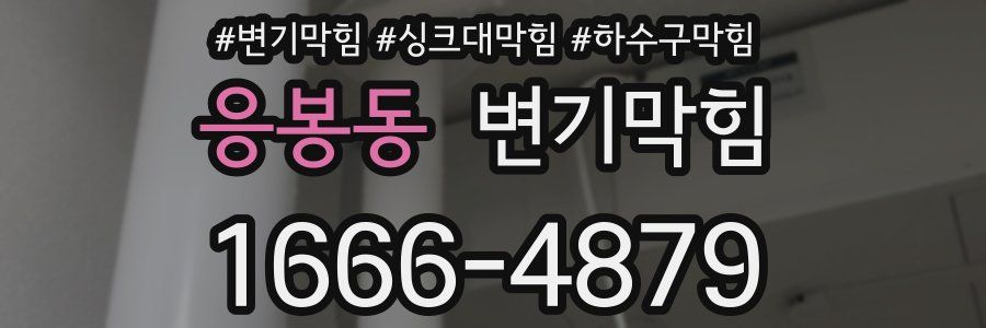 변기막힘