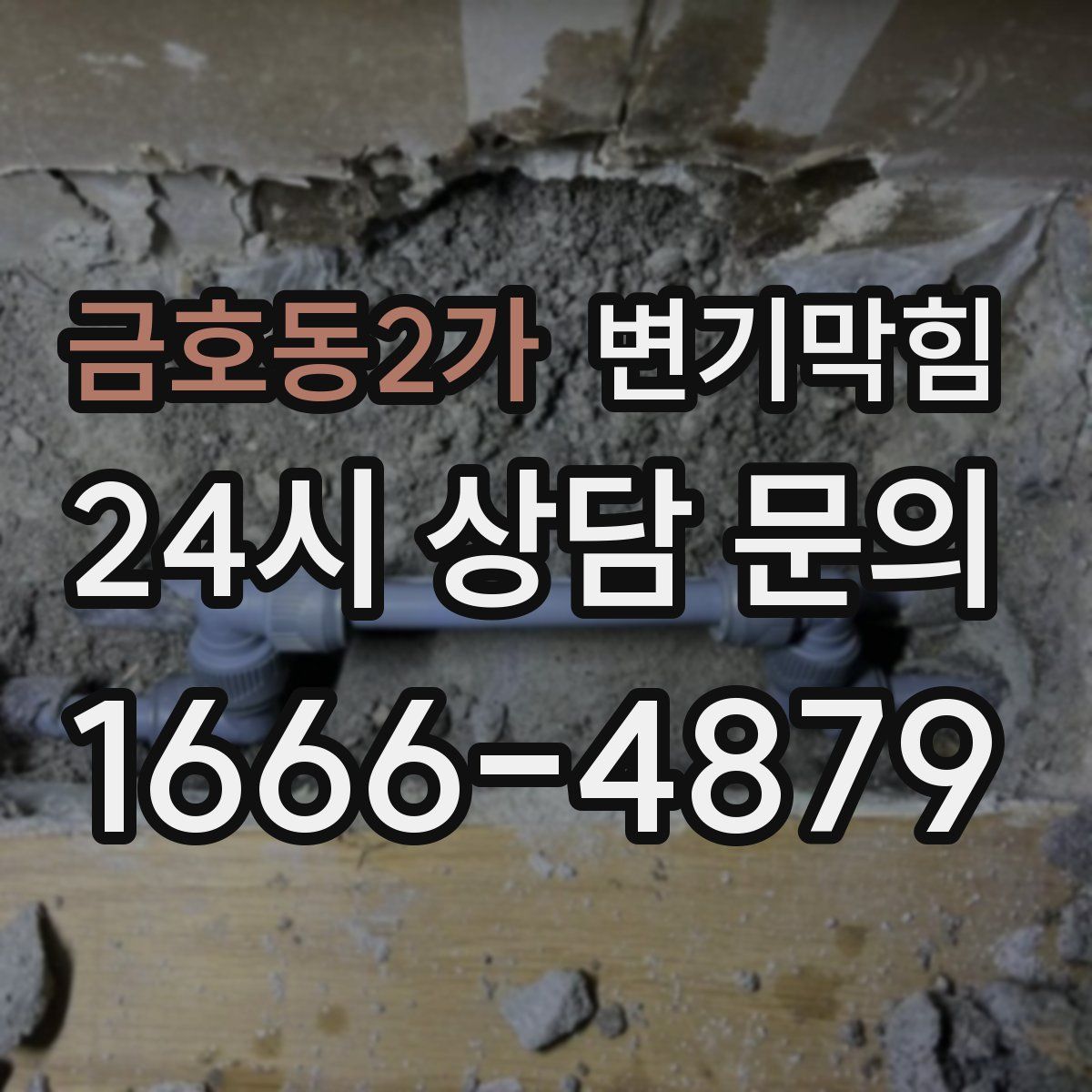 금호동2가 변기막힘