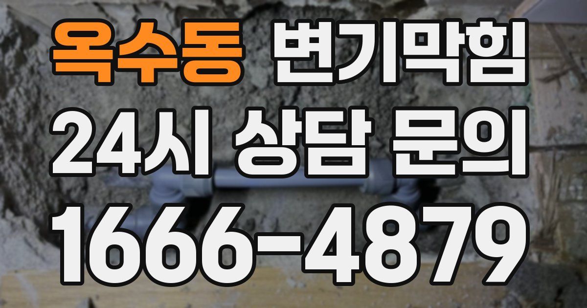 옥수동 변기