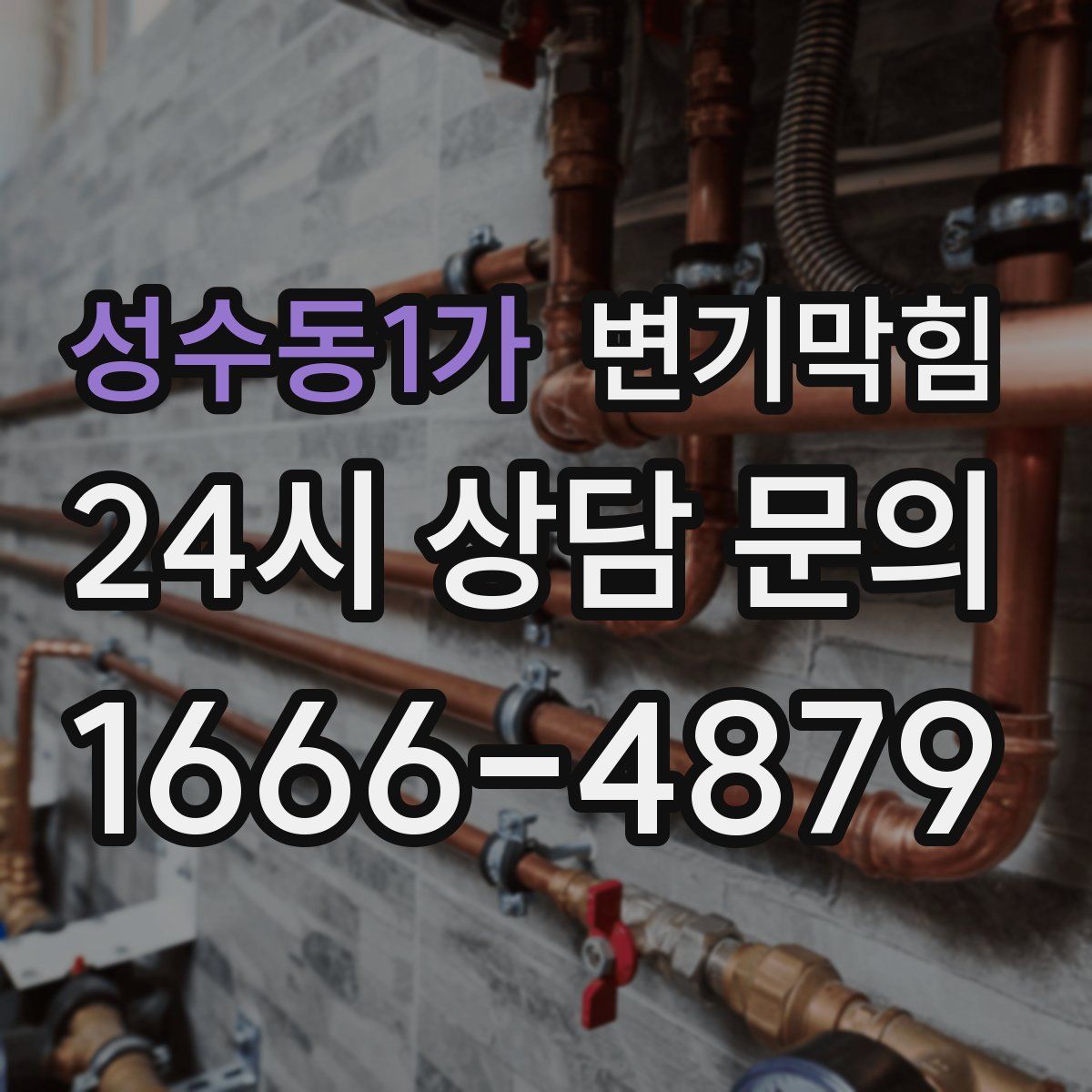 성수동1가 변기막힘