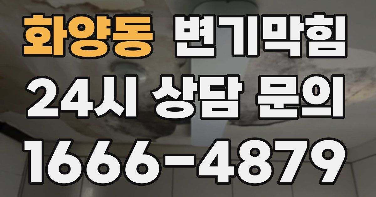 화양동 변기