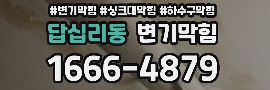 변기막힘