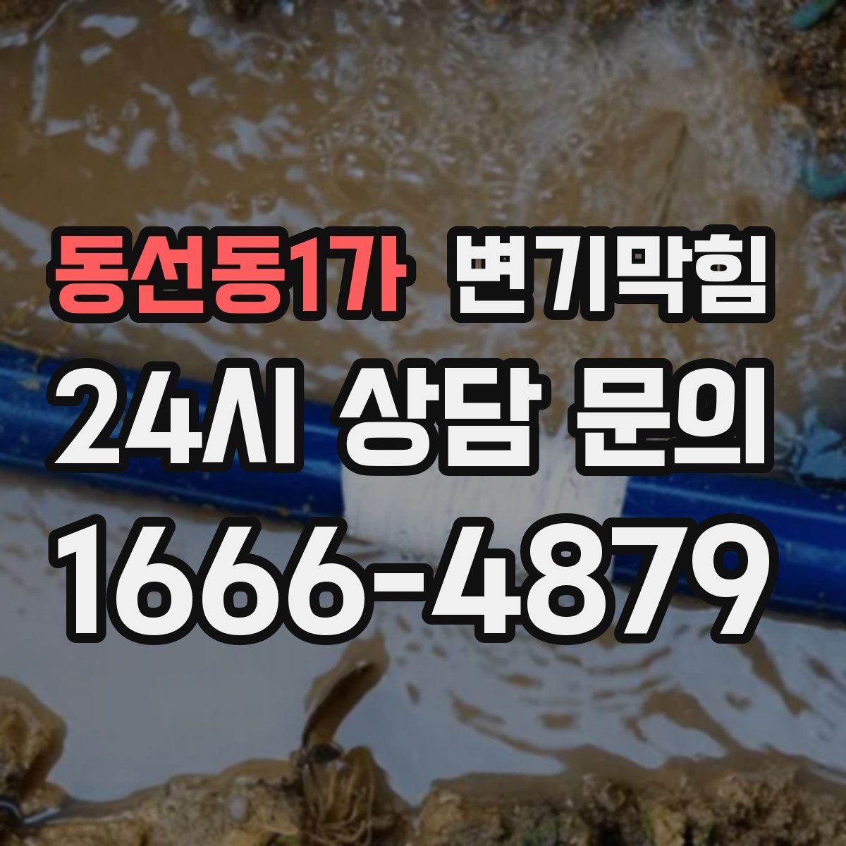 동선동1가 변기막힘