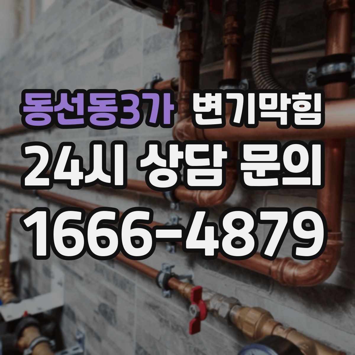 동선동3가 변기막힘 카페 배수구막힘 오픈 체크 5분 솔루션