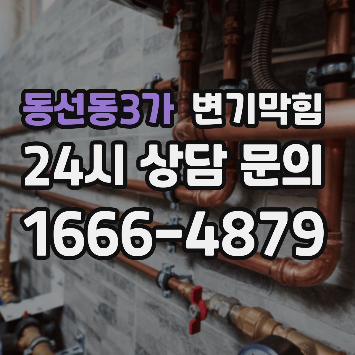 동선동3가 변기막힘