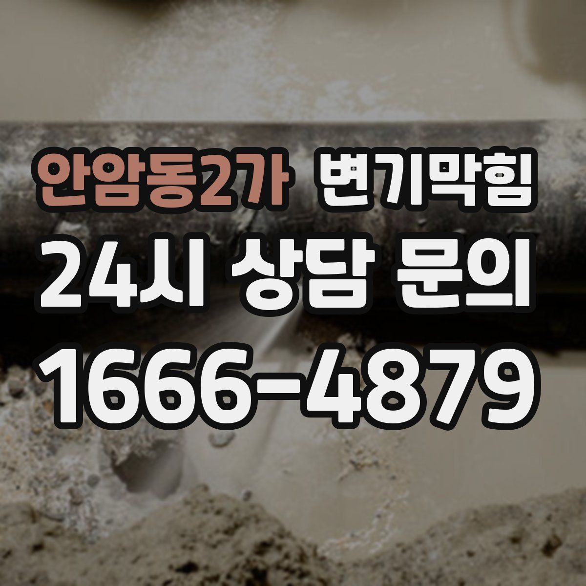 안암동2가 변기막힘