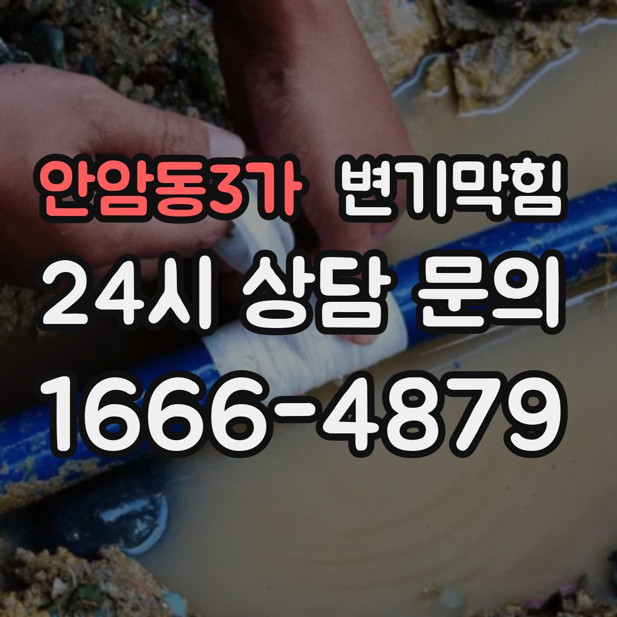 안암동3가 변기막힘