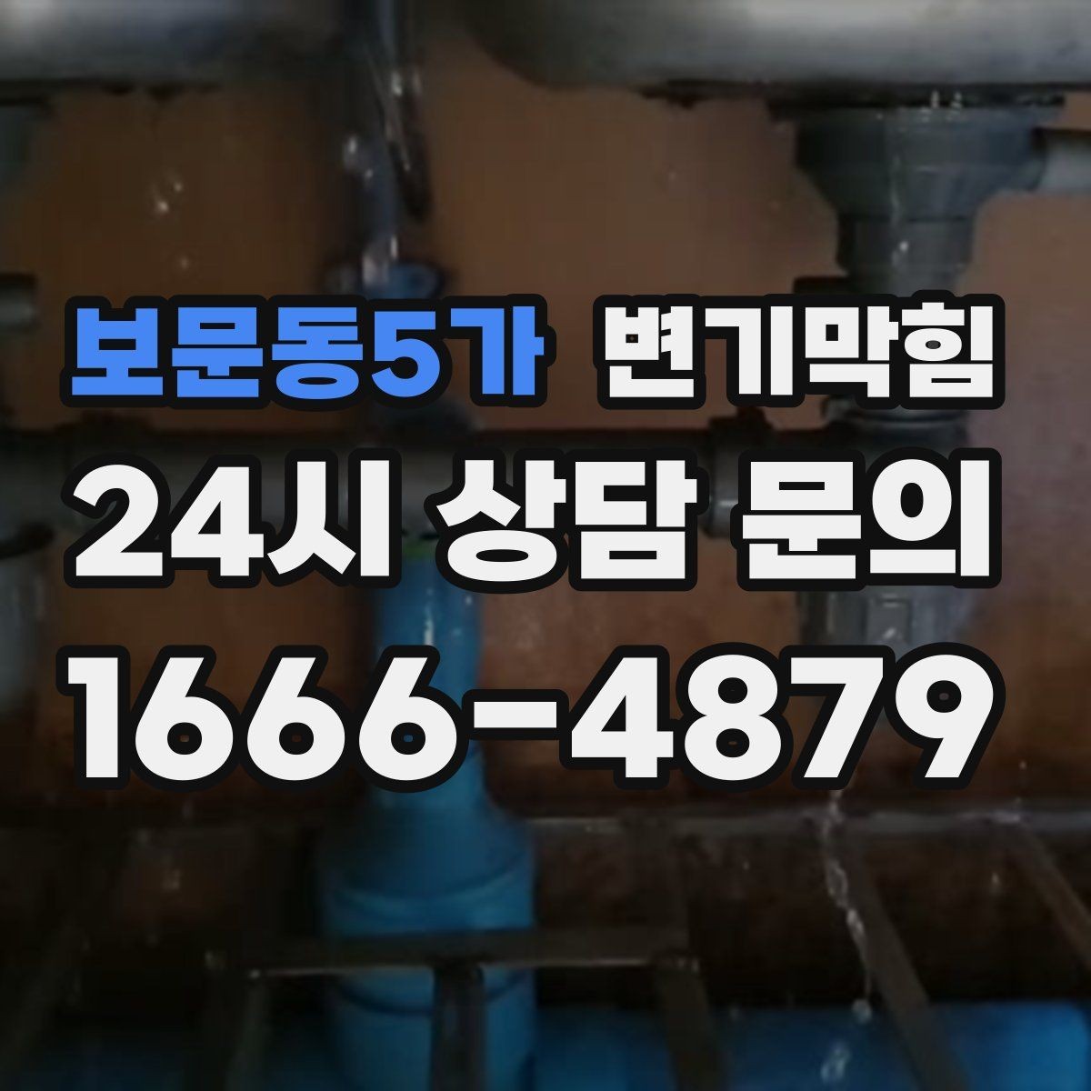 보문동5가 변기막힘 변기가 막혔을 때 변좌 흔들림 점검