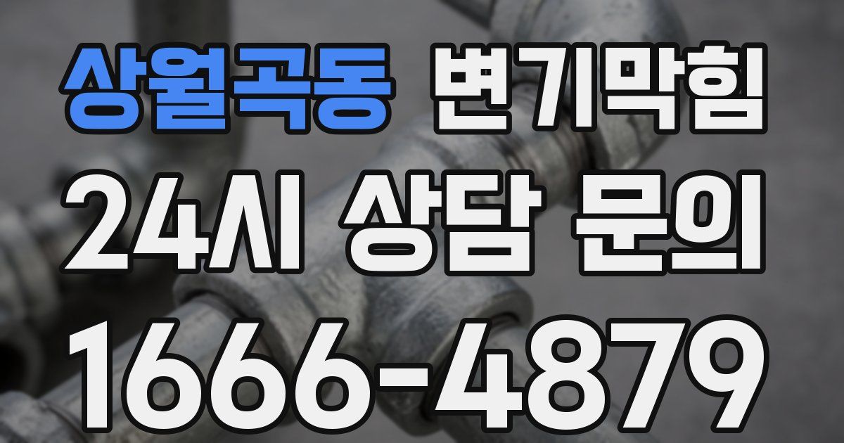 상월곡동 변기