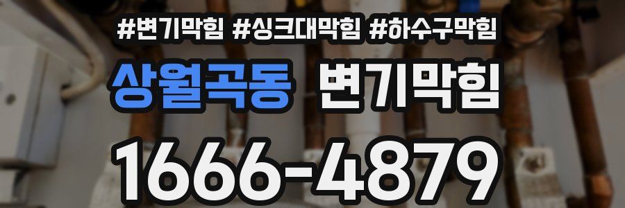 변기막힘